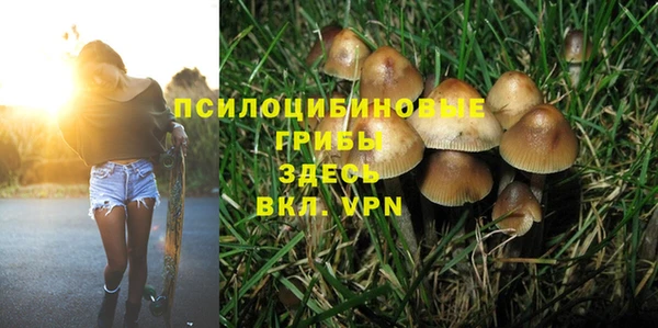 а пвп мука Арсеньев
