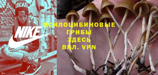 а пвп мука Арсеньев
