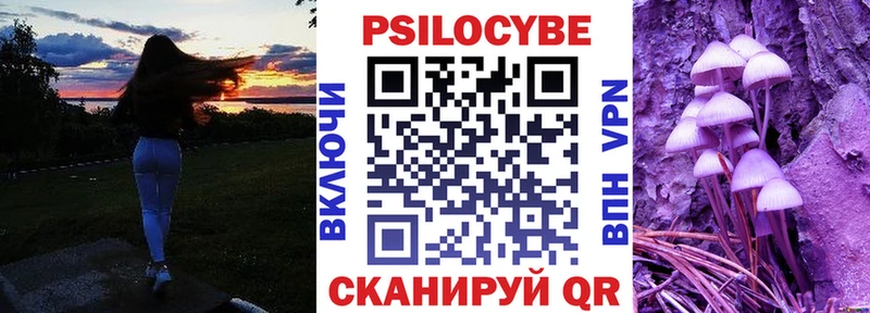 Галлюциногенные грибы Psilocybine cubensis  что такое наркотик  Кирово-Чепецк 